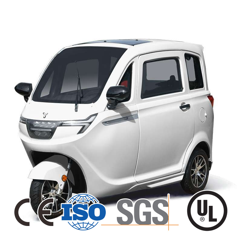 Road Legal 60V 1000W Passenger 3 Wheel Electric E Trike for Sale