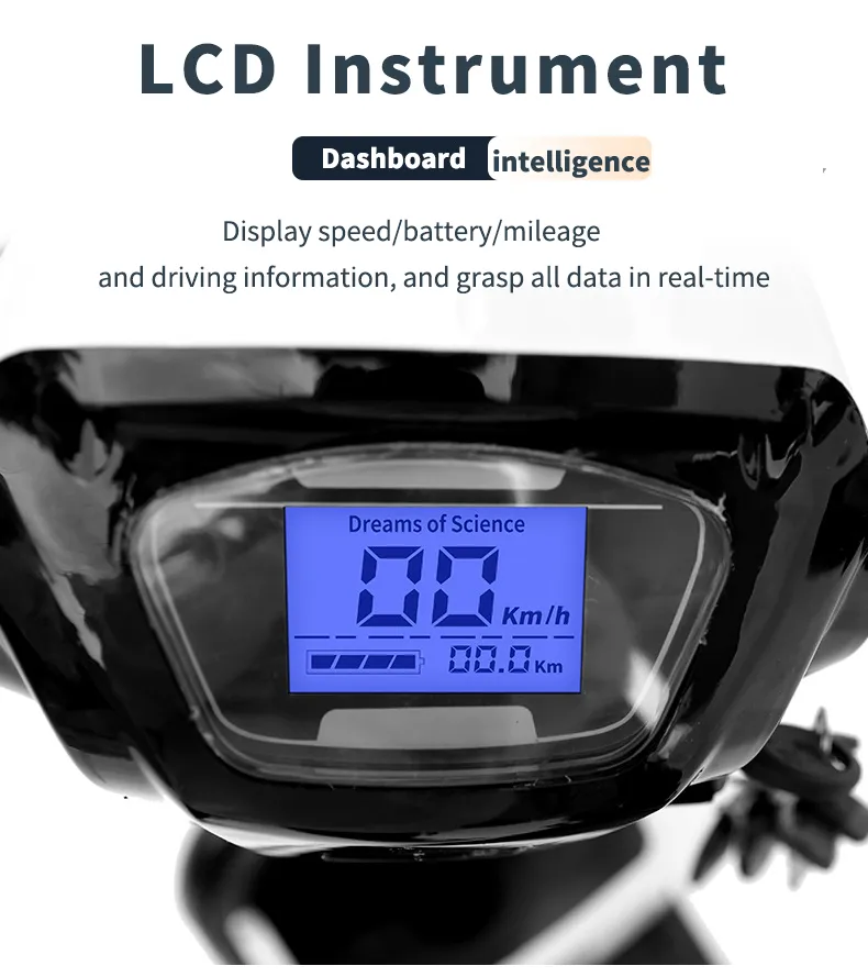 Electric Bike Details 4