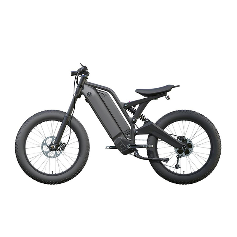 24 Inch 48V 15ah 10ah 9 Speed Cycle Aluminum Alloy Fat Tire 1000W Electric Bike
