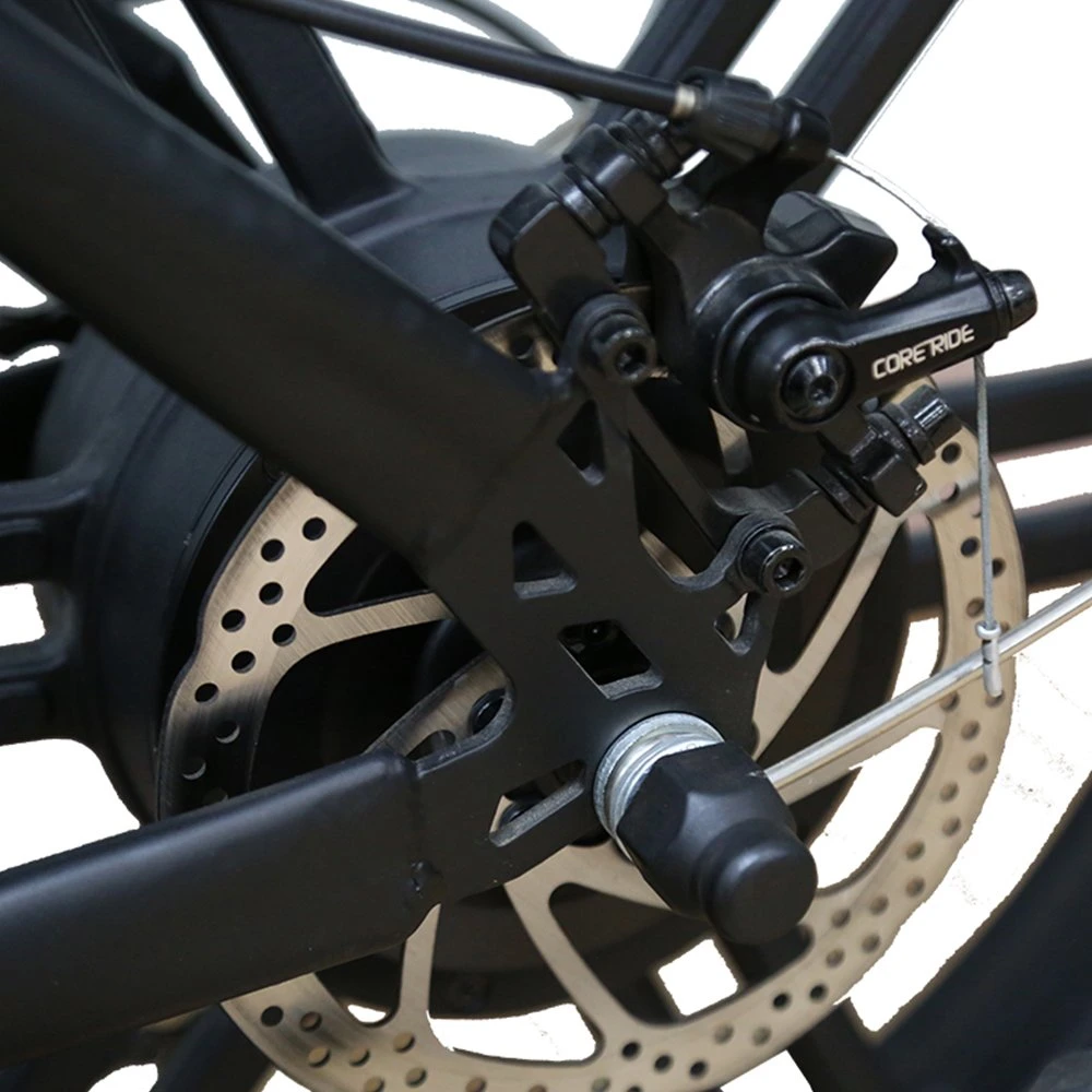 Wholesale Motorcycle Style Retro Dirt Electric Bike 20 Inch Fat Tire Ebike with 500W Brushless Motor 48V Lithium Battery