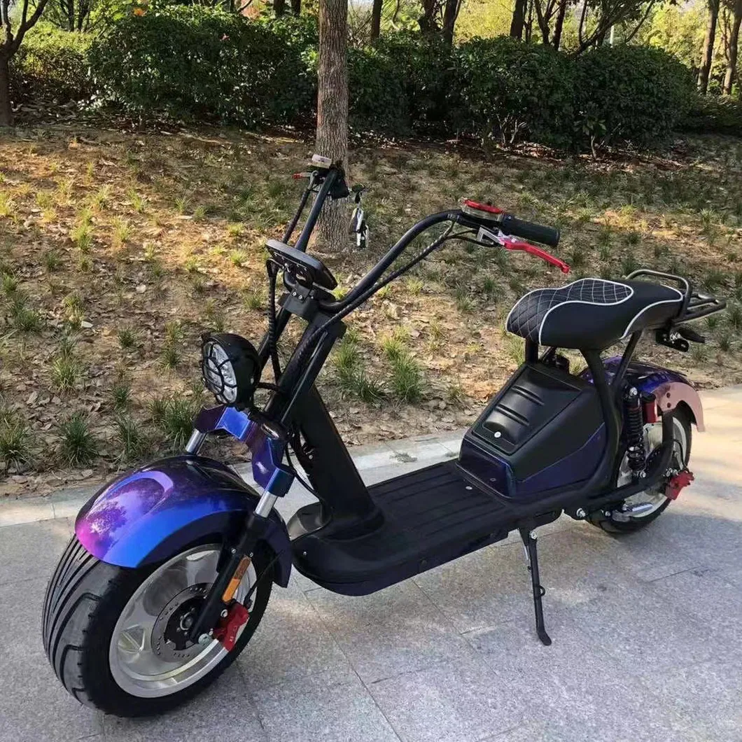 Electric Bike Details 1