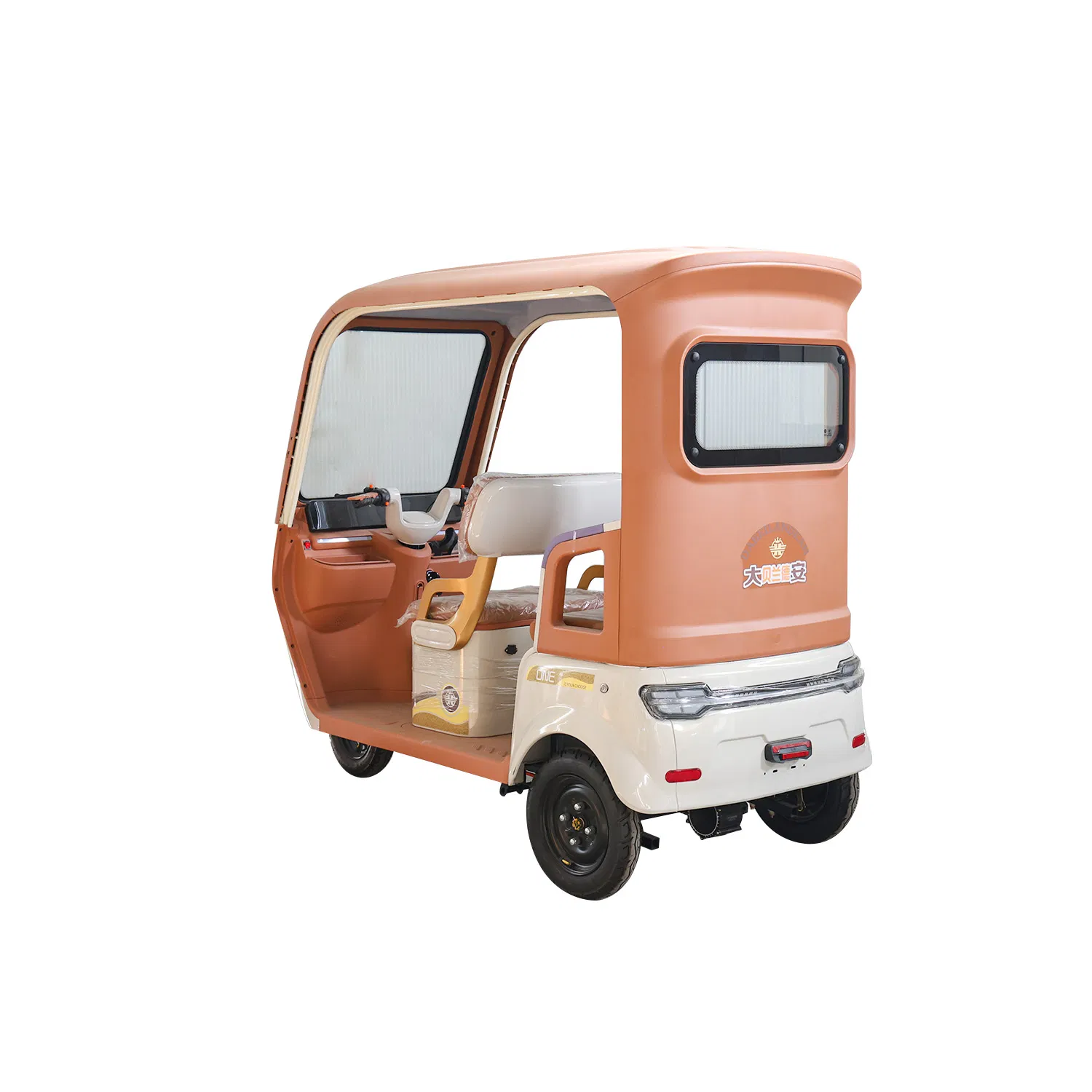 Chinese-Made Budget Electric Leisure Trike for Adults