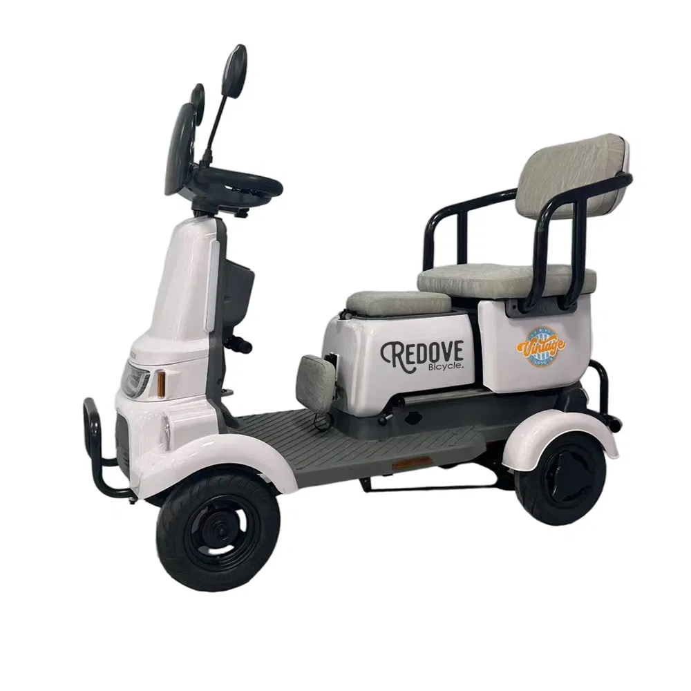 Cheap Three Wheel Electric Mini Tricycle with Roof for Adult White Black Color Cutomized Body Motor Acid Power Battery Cargo Tricycle for Passenger