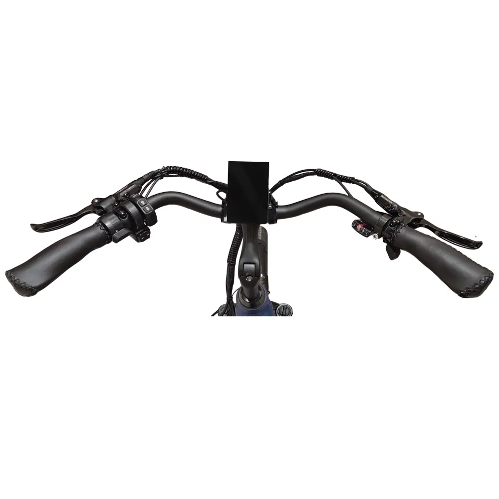 48V Step Through Electric Road Bike Hidden Battery Electric Hybrid Bike Electric City Bike