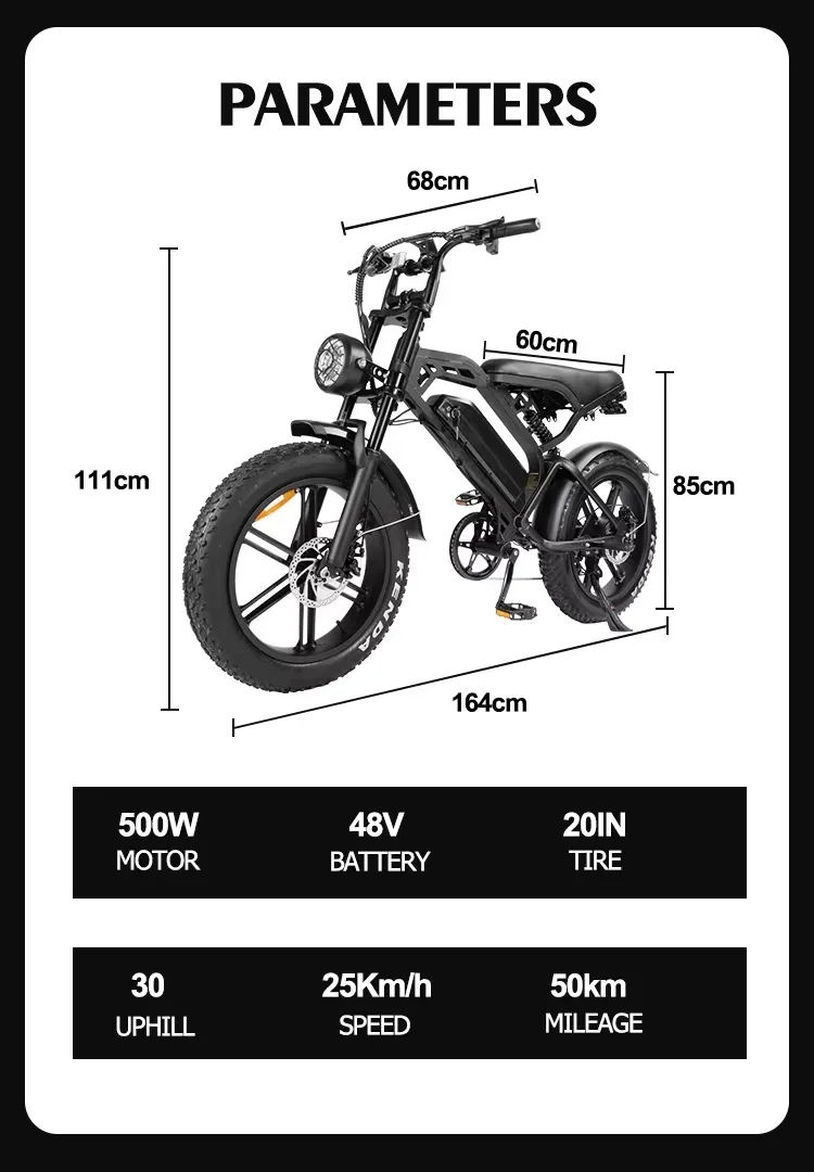 Ebike Photo 2