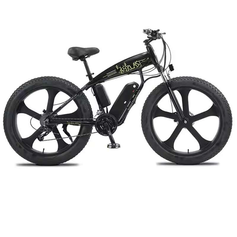 Wholesale 26 Inch Fat Electric Bicycle OEM Custom Fat Tire Electric Dirt Bike 1000W Mountain Ebike