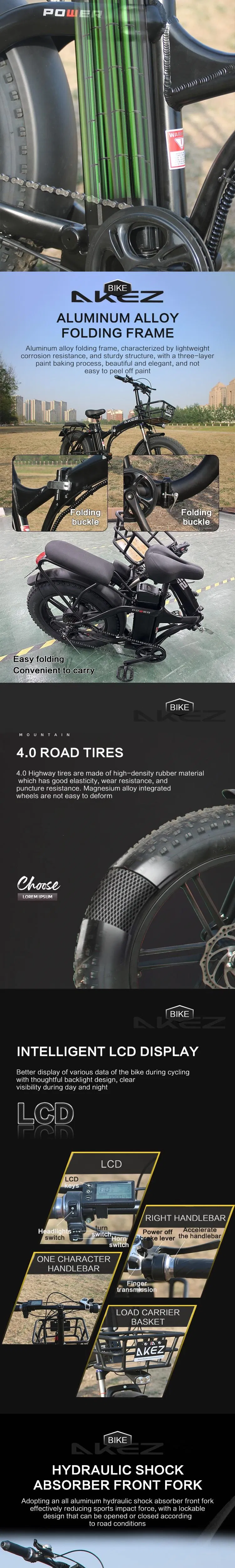 Folding Electric Bike View 3