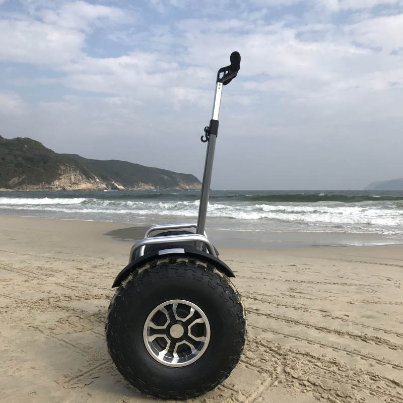20inch Offroad Adult Two Wheel Golf Electric Self Balance Scooter Electrical Scooter