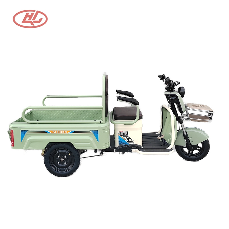 Casual Style, Family Car, Sightseeing Cargo Dual-Purpose Electric Vehicle, Freight Trike