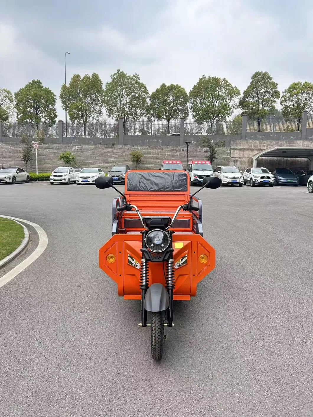 Electric Trike View 3