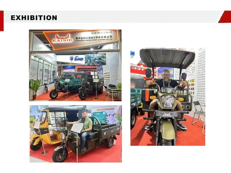 Electric Trike View 16