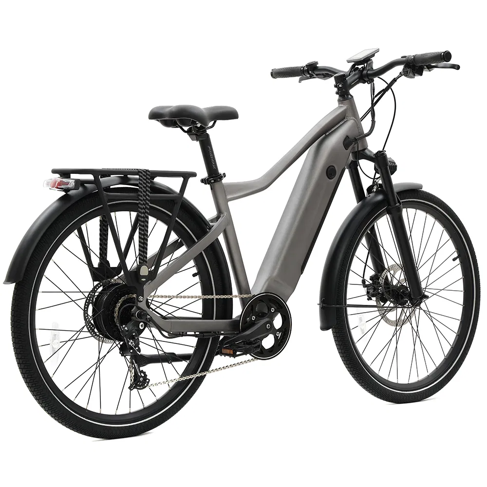 Versatile Electric Commuter Bike Ebike for All Terrains