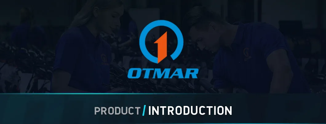 Electric Cargo Tricycle