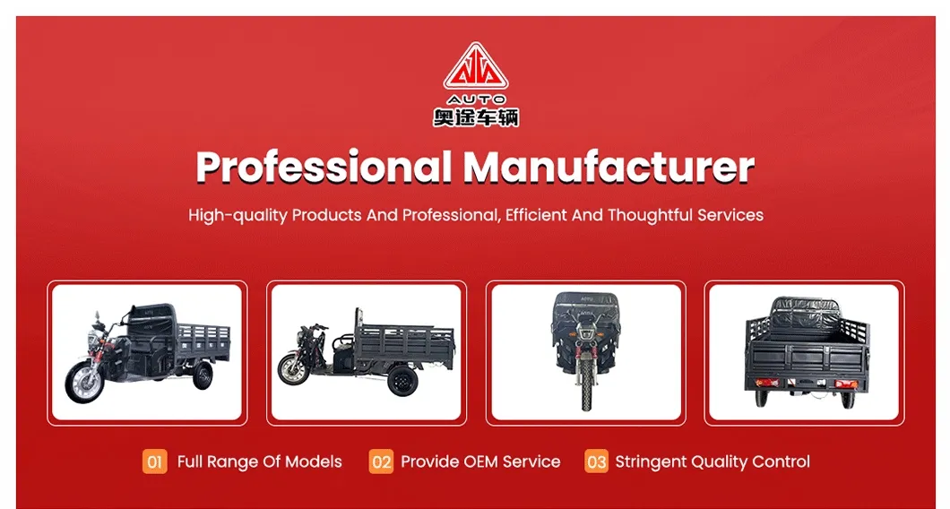 Electric Tricycle Overview