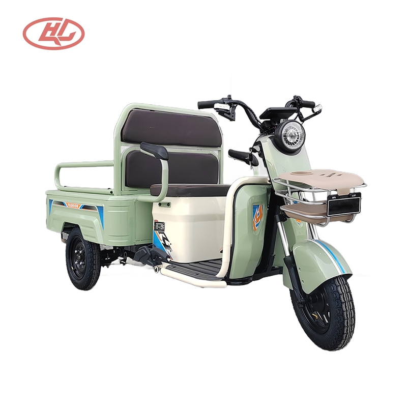 Casual Style, Family Car, Sightseeing Cargo Dual-Purpose Electric Vehicle, Freight Trike