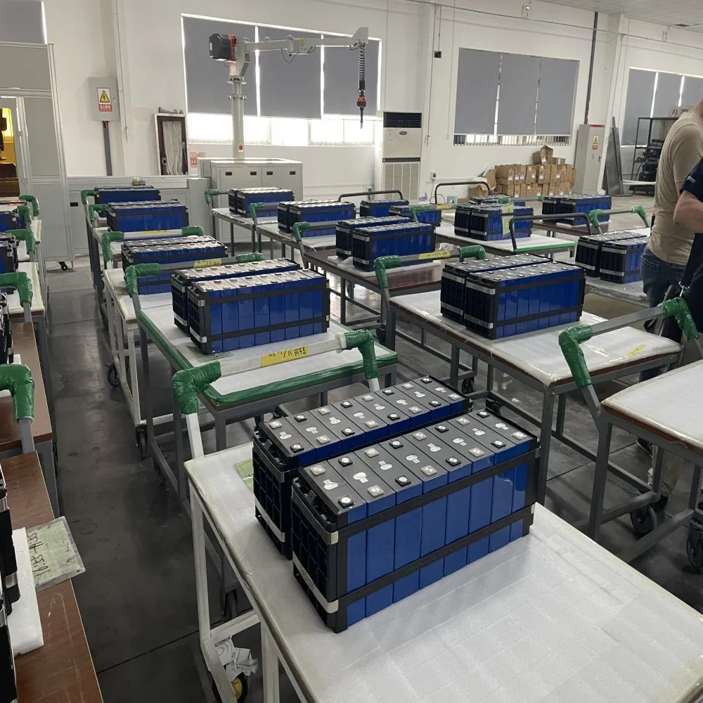 LiFePO4 Battery Pack 5