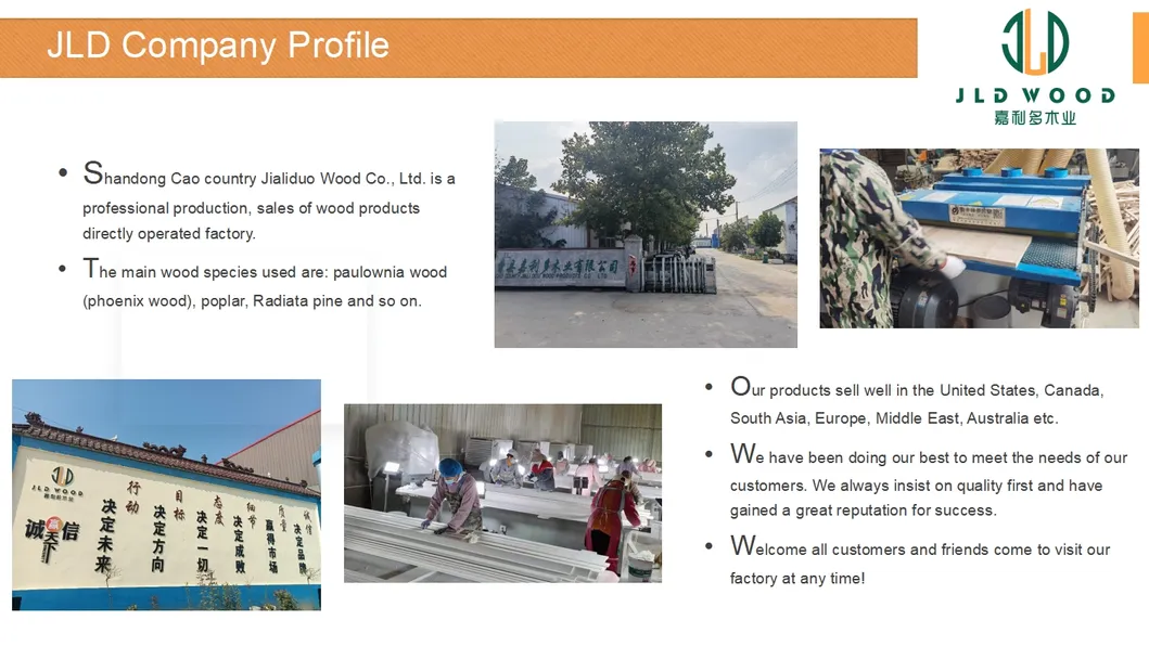 Company Overview