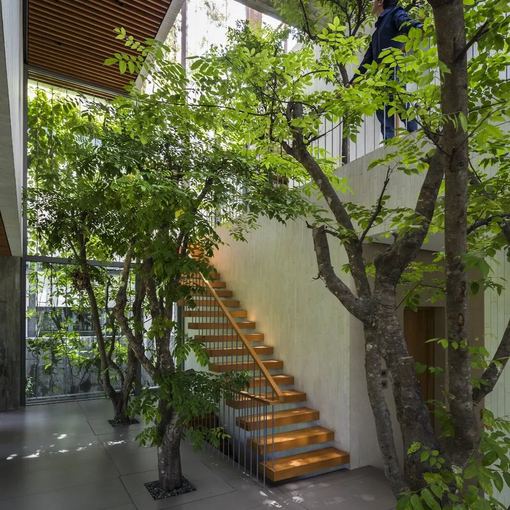 Modern Staircase View 1