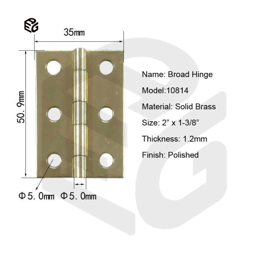 Solid Brass Broad Hinge for Interior Doors, Cabinet Doors and Window Shutters