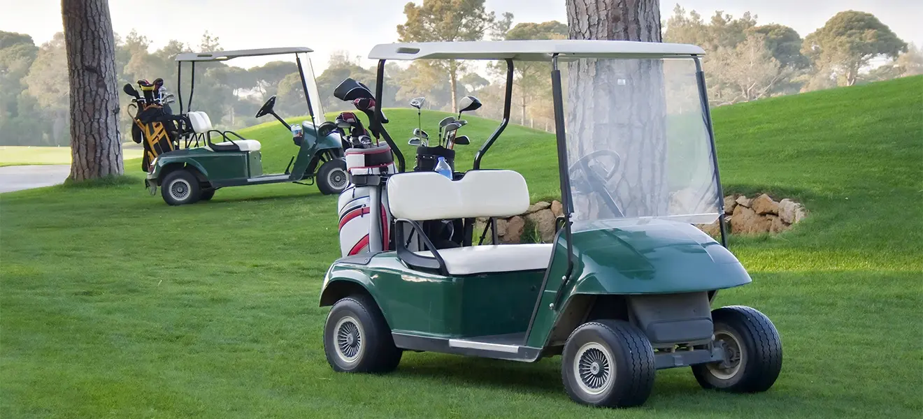 Golf Cart LiFePO4 Battery