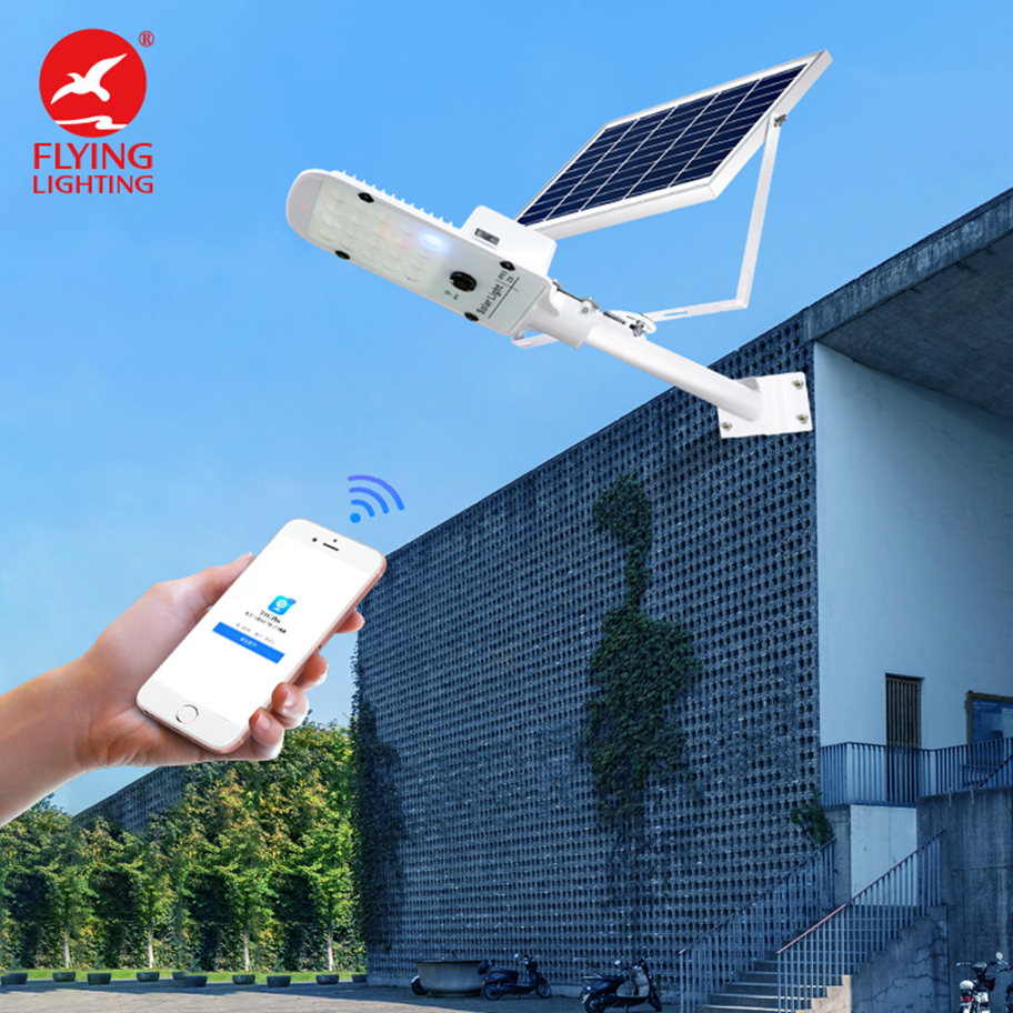 New Design Smart Streetlight with Camera Waterproof IP65 Outdoor 100w Split Solar Street Light