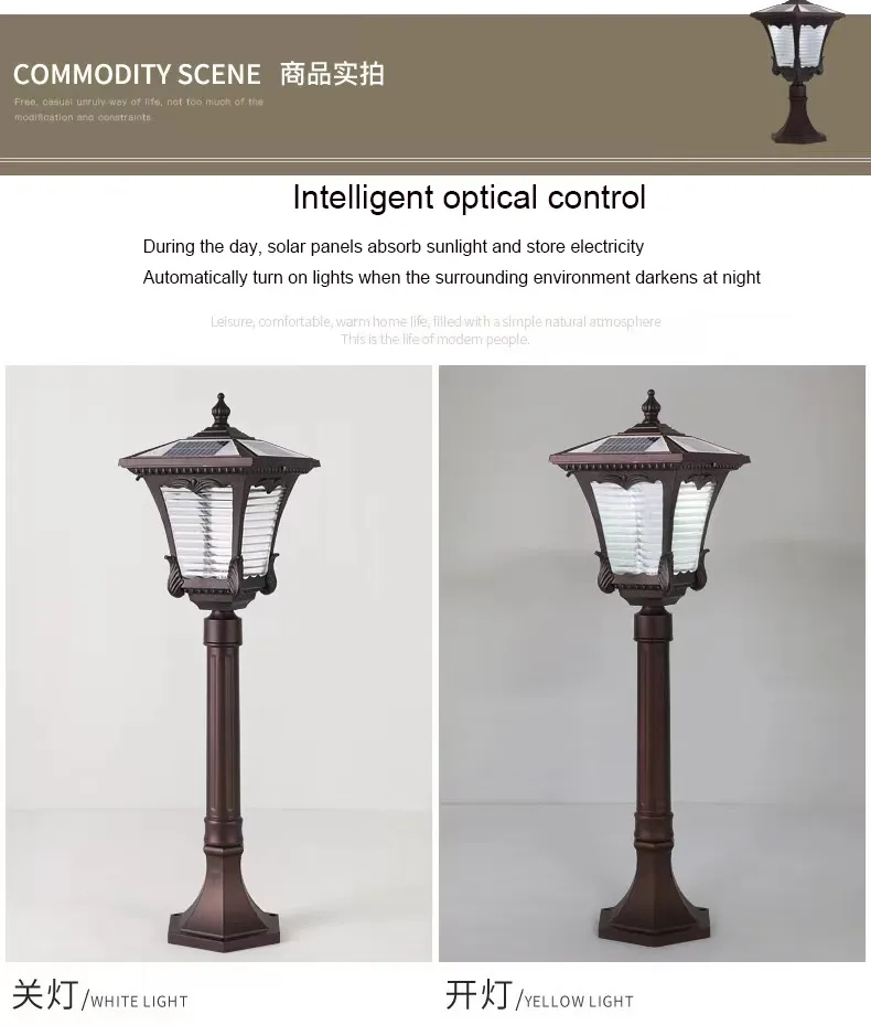 Product Details 1