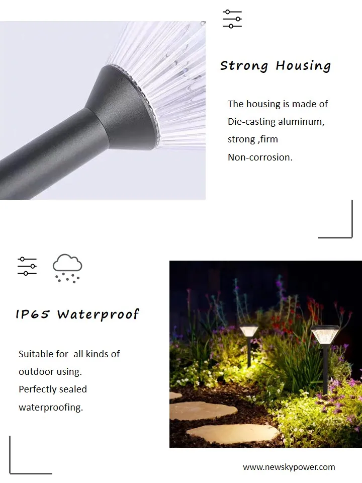 Landscape Lighting Display