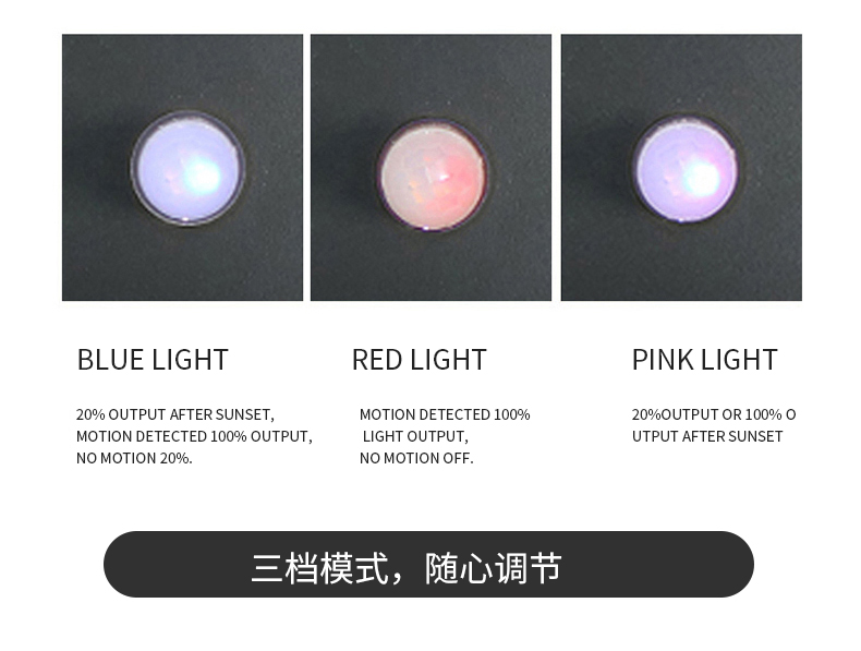 Solar Light