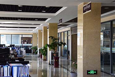 Our Office