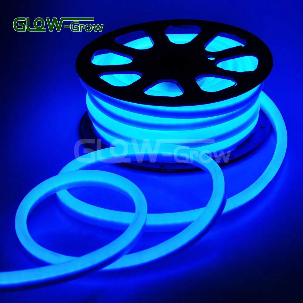 UL ETL Outdoor 8*16mm Single Side Warm White 3000K LED Neon Flex Lighting for Commercial Landscape Building Decoration