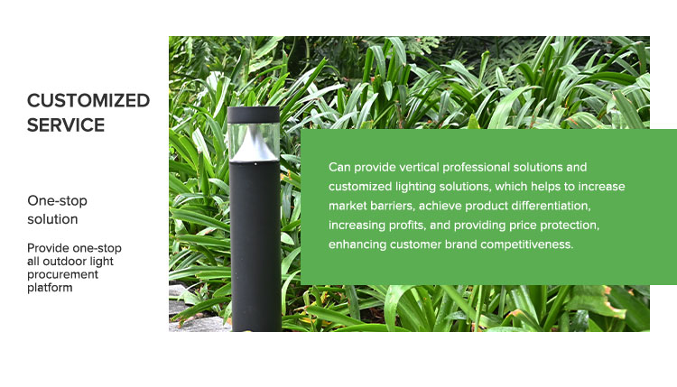 Landscape Light Display 4