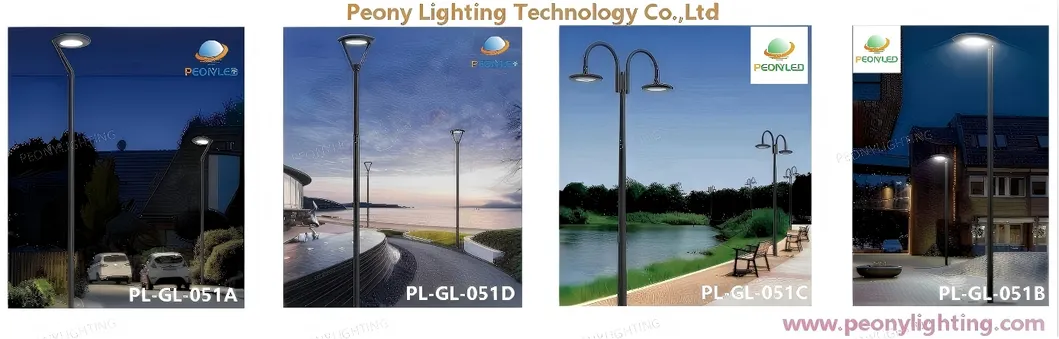 LED Street Light Detail