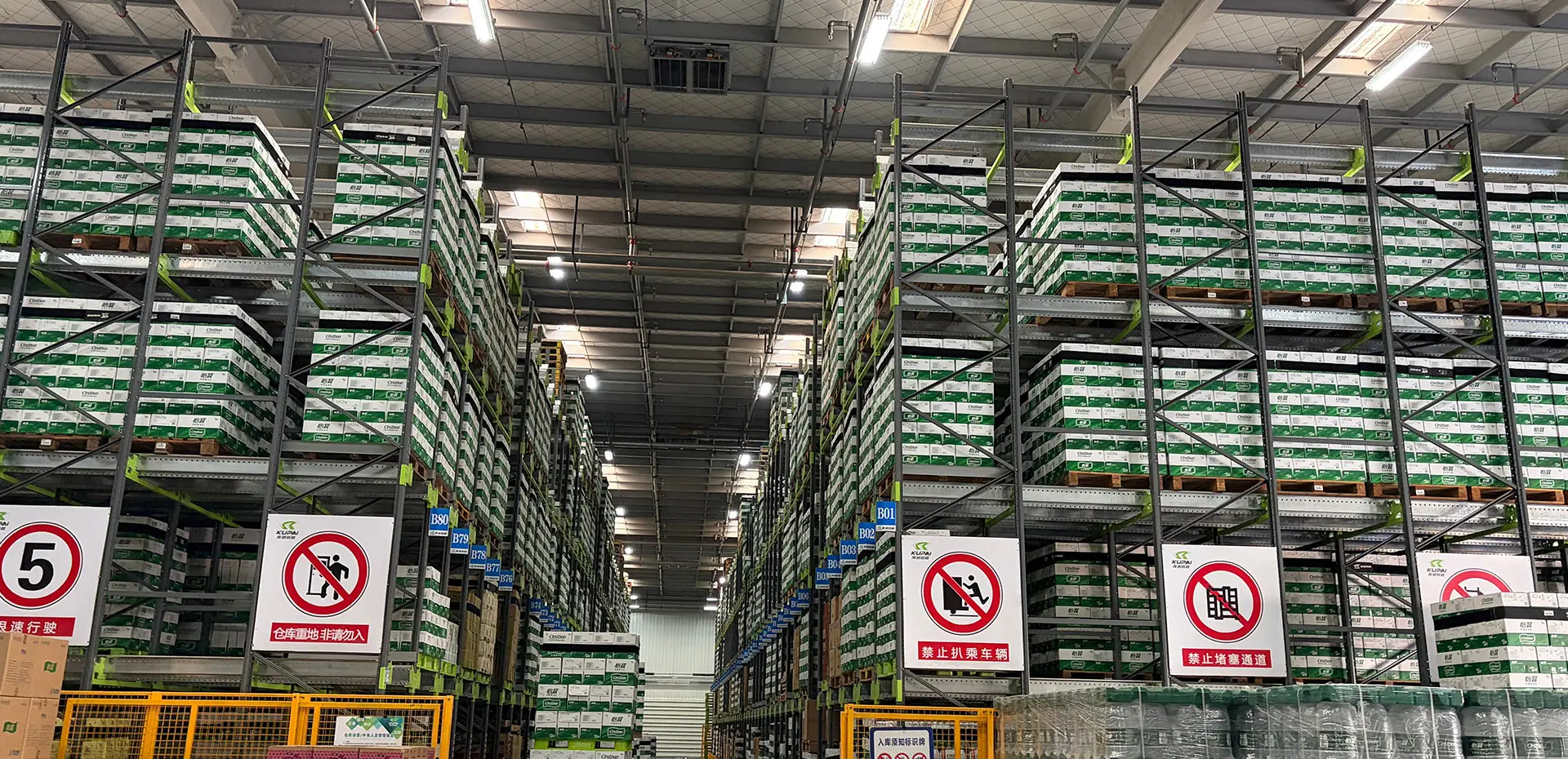 Automated pallet AS/RS multi-tier warehouse
