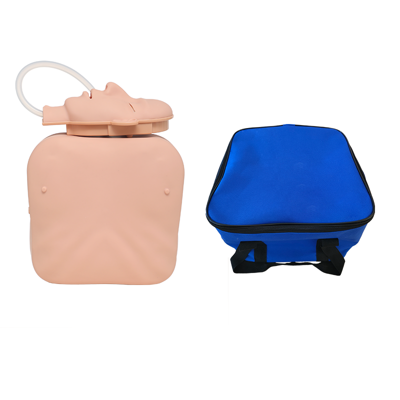 Custom Portable CPR Simulator from China - Reliable Emergency Training Model from Top Suppliers and Factory Factories, Product