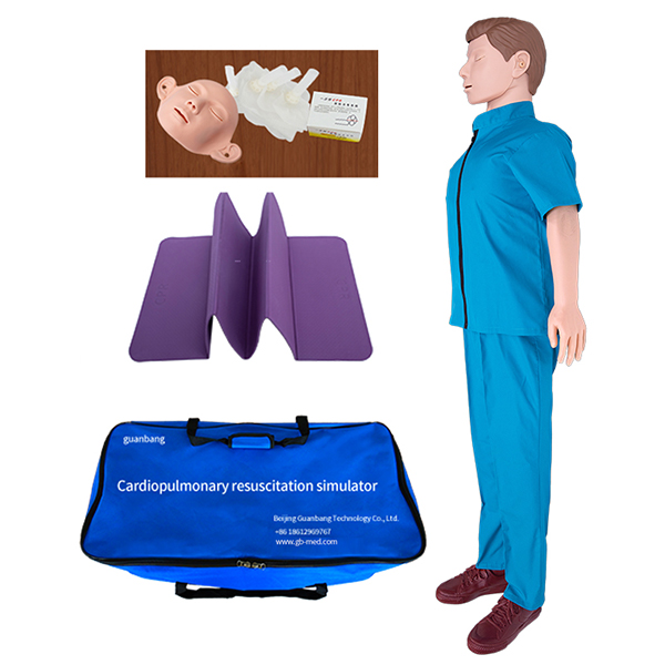 ZK/CPR810A Full body standard