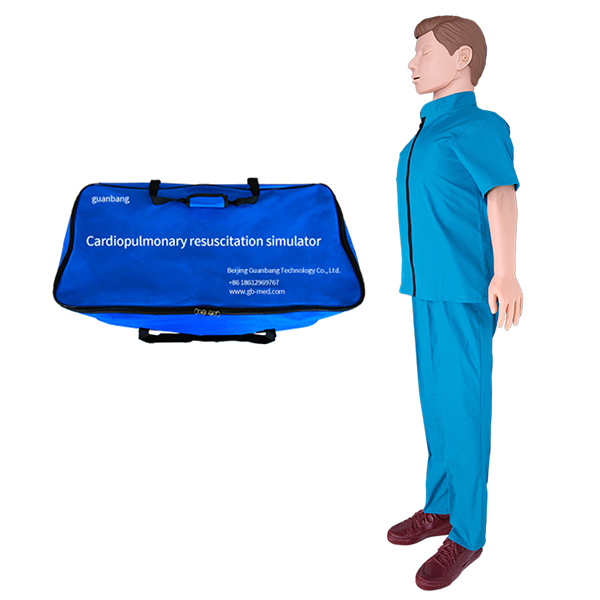 ZK/CPR810A Full body simple fit
