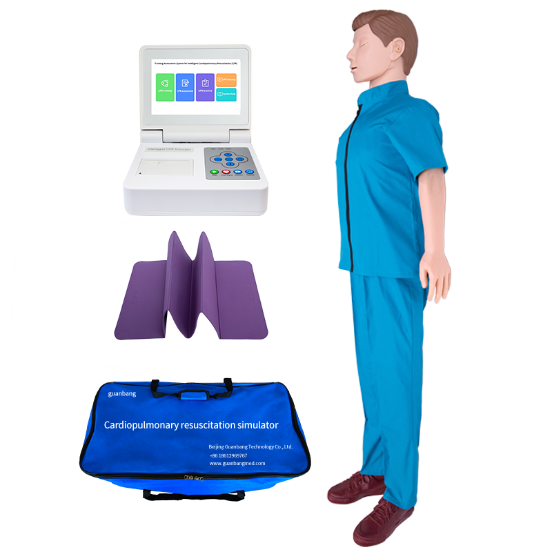 Custom Adult CPR Simulator with Color Touch Screen Control - China Suppliers and Factory Quality Training Model Manufacturers, Product