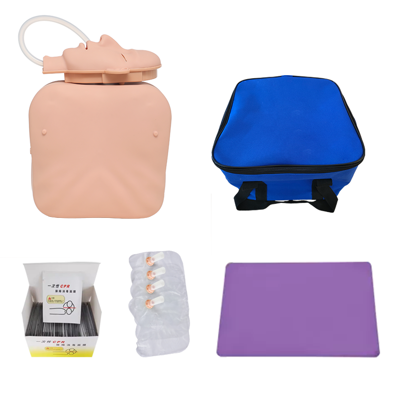 Custom Portable CPR Simulator from China - Reliable Emergency Training Model from Top Suppliers and Factory Factories, Product