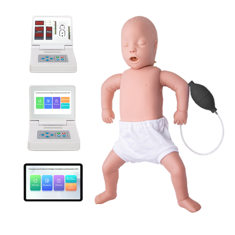 Infant Series CPR Training Simulator for baby first-aid training