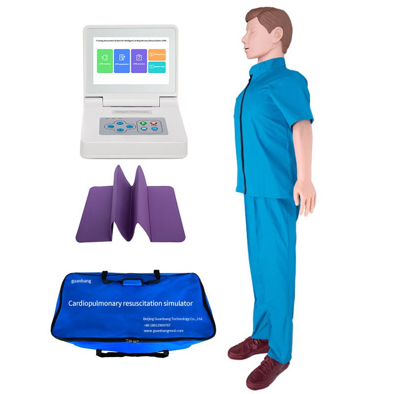 Adult CPR Simulator with Color Touch Screen