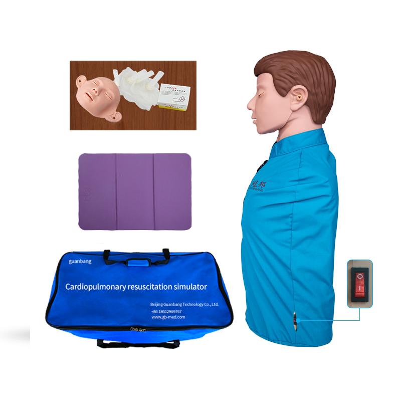 Half-length standard CPR simulator