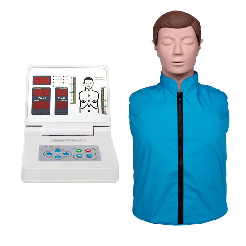 Custom Adult CPR simulator with digital control Products, Service