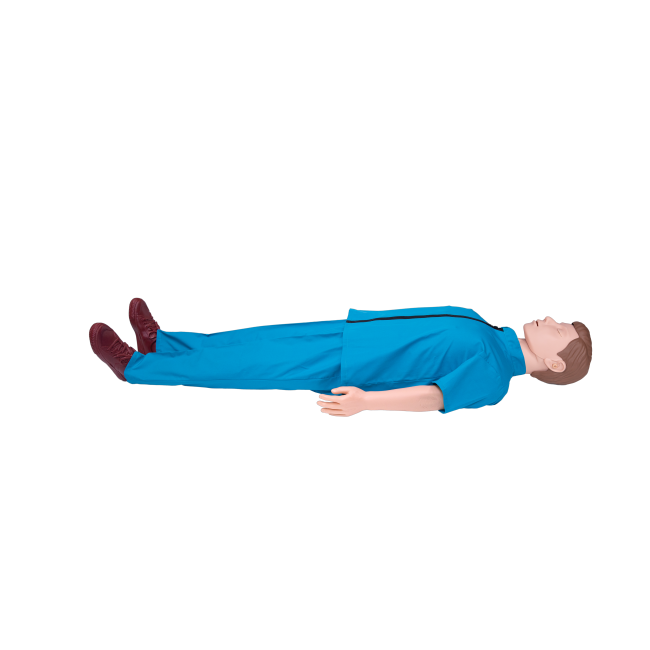 Cheap Adult CPR simulator with software Manufacturers, Manufacturer