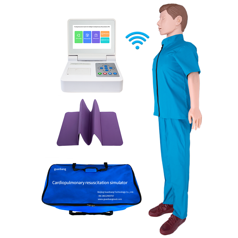 Custom Adult CPR Simulator with Color Touch Screen Control - China Suppliers and Factory Quality Training Model Manufacturers, Product
