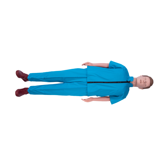 Cheap Adult CPR simulator with software Manufacturers, Manufacturer