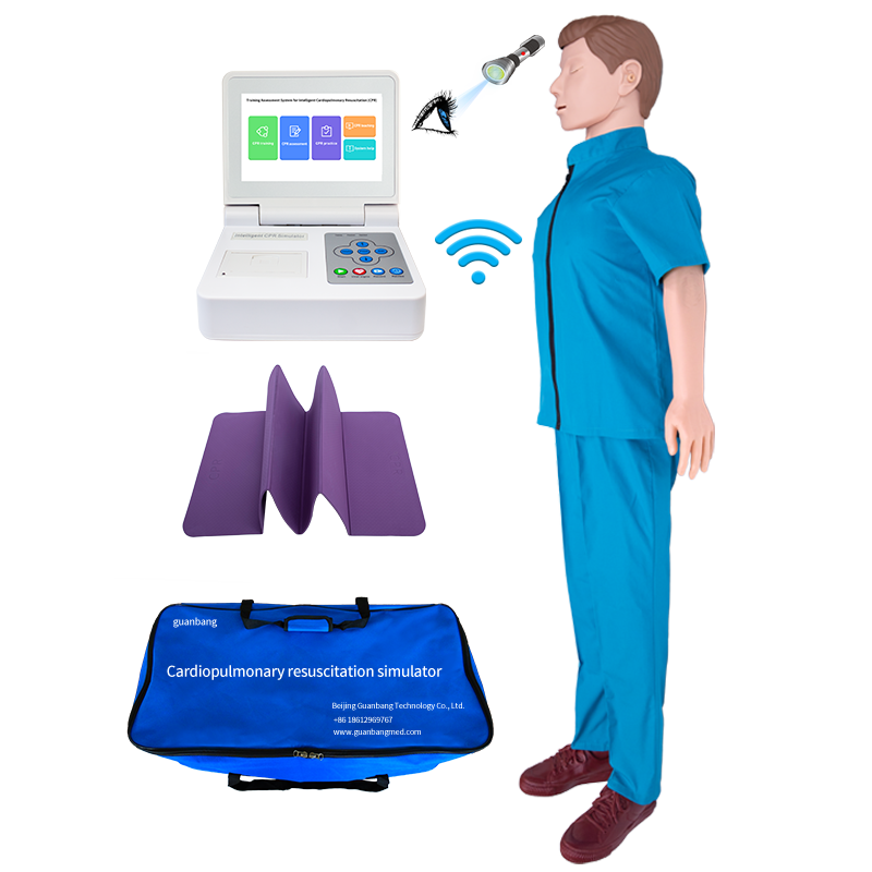 Custom Adult CPR Simulator with Color Touch Screen Control - China Suppliers and Factory Quality Training Model Manufacturers, Product
