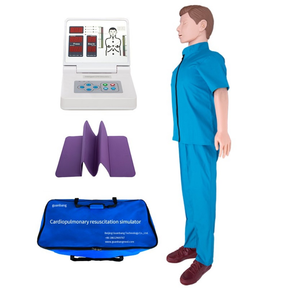 Custom Adult CPR simulator with digital control Products, Service