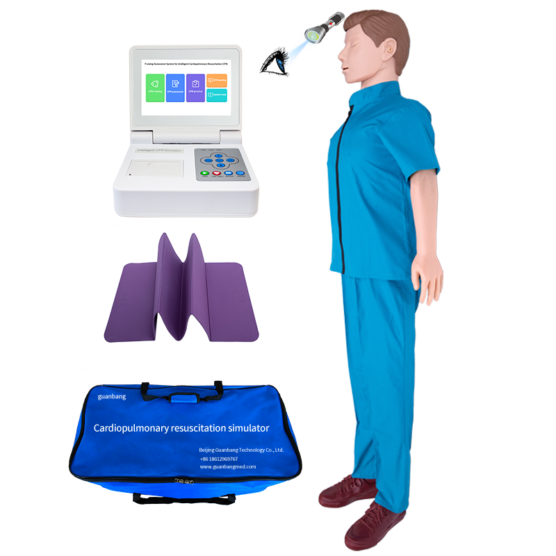 Custom Adult CPR Simulator with Color Touch Screen Control - China Suppliers and Factory Quality Training Model Manufacturers, Product