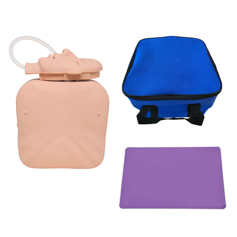 Custom Portable CPR Simulator from China - Reliable Emergency Training Model from Top Suppliers and Factory Factories, Product