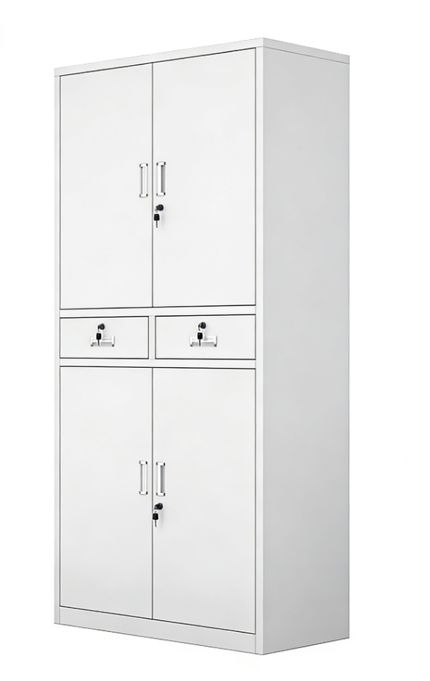 2-Door Metal Storage Steel File Cabinet with Safe Lock Glass Door Office Cupboard for Home Office & Workshop Panel Style